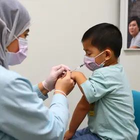 imunização contra vírus respiratório