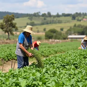 importância dos agricultores