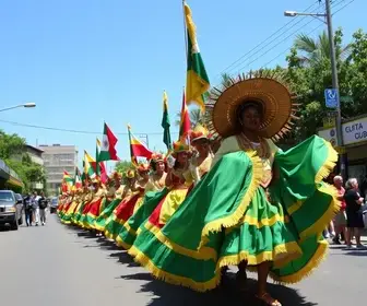 programa de voluntariado