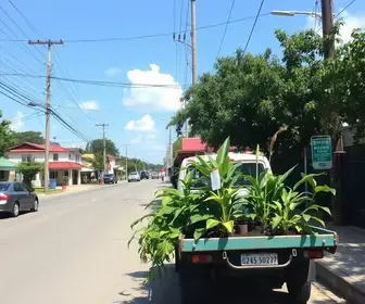 Prefeitura de Petrolina Carro da Planta